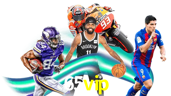 65vip